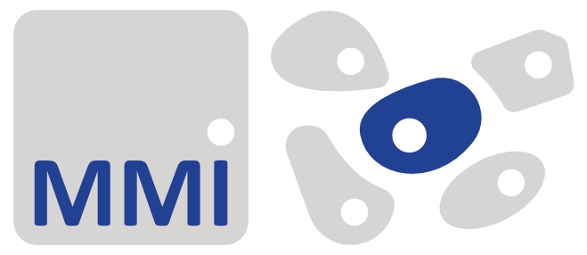 MMI